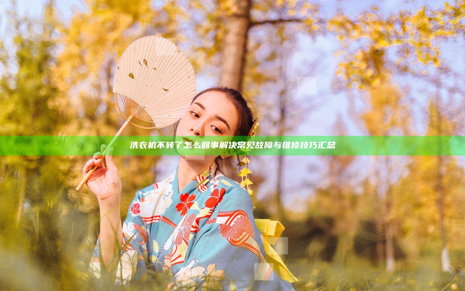 洗衣机不转了怎么回事 解决常见故障与维修技巧汇总