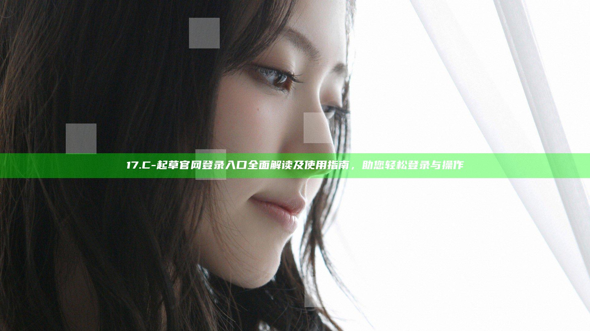 17.C-起草官网登录入口全面解读及使用指南，助您轻松登录与操作