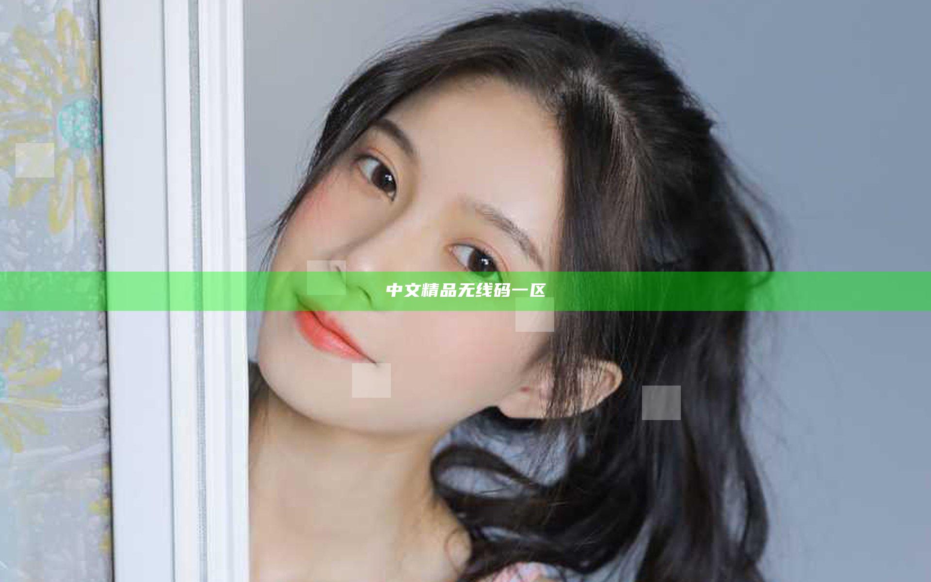 中文精品无线码一区