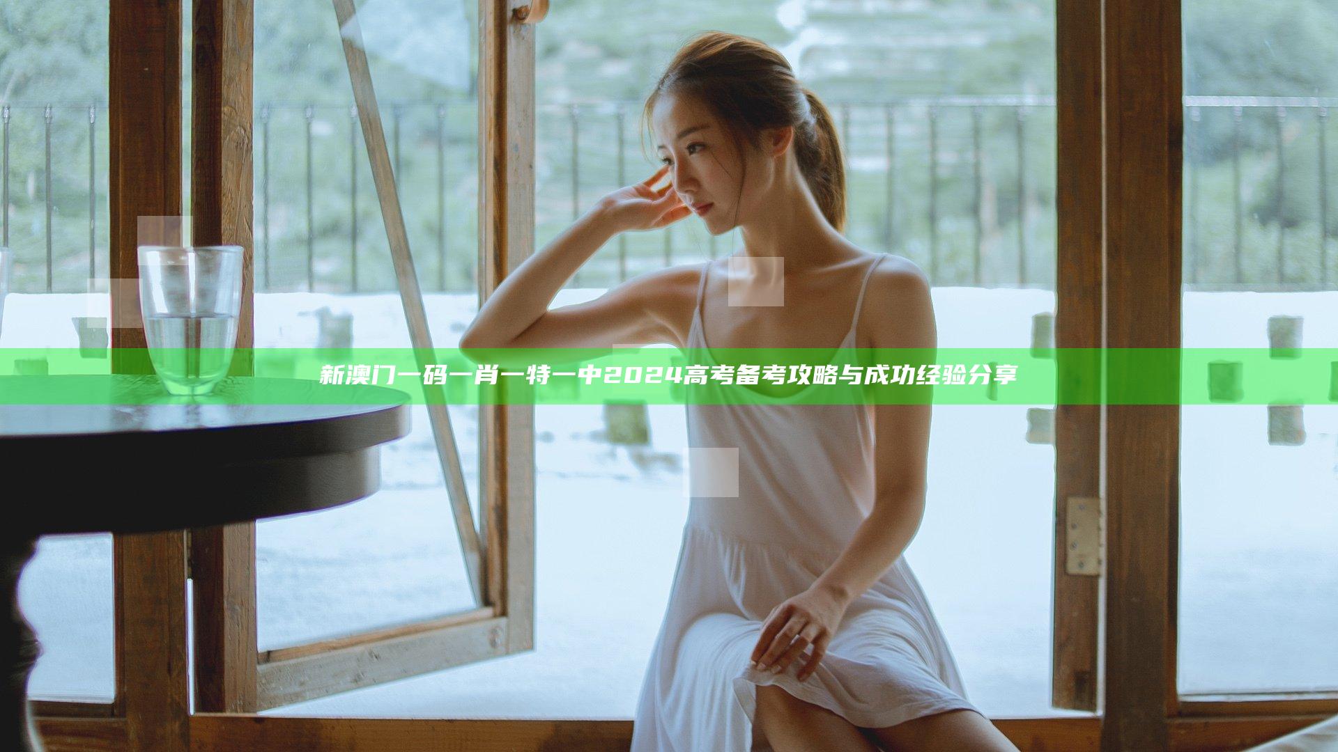 新澳门一码一肖一特一中2024高考备考攻略与成功经验分享