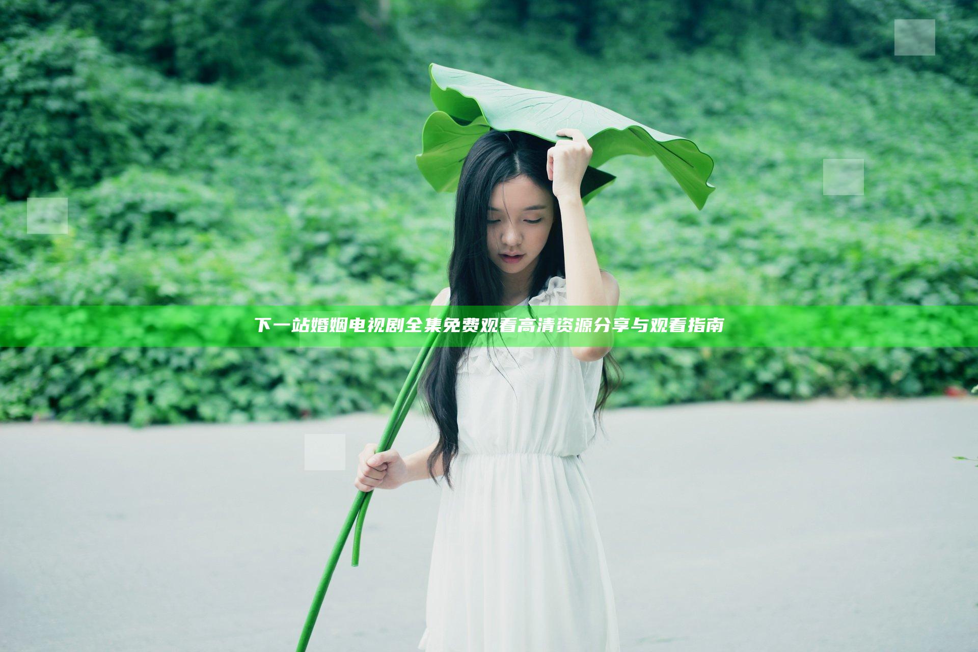 下一站婚姻电视剧全集免费观看高清资源分享与观看指南